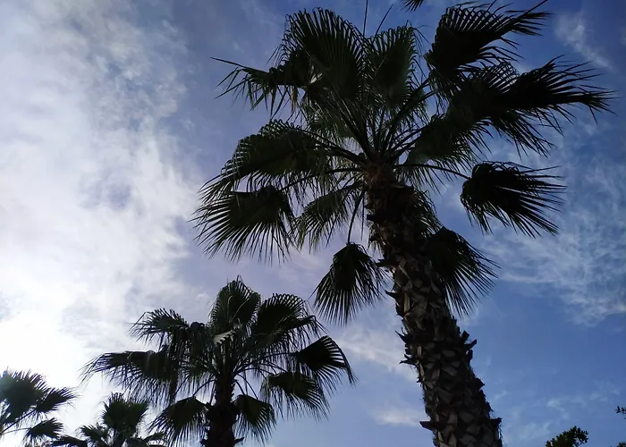 Olympos Yavuz Hotel